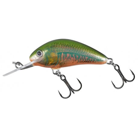 wobler-salmo-hornet-sinking-25cm15g-holo-oikawa.jpg