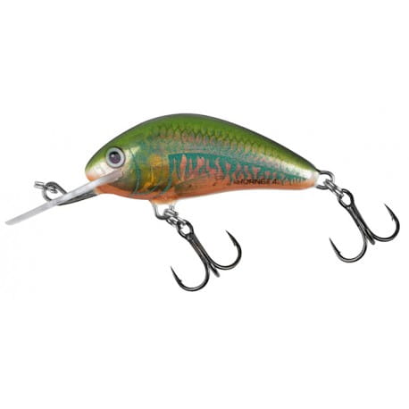 wobler-salmo-hornet-floating-35cm22g-holo-oikawa.jpg