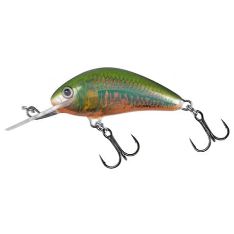 wobler-salmo-hornet-sinking-4cm4g-holo-oikawa.jpg