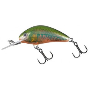 Wobler Salmo Hornet Sinking 5cm/8g, Holo Oikawa