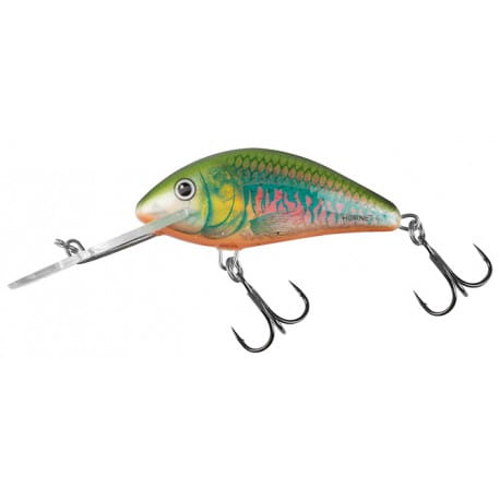 wobler-salmo-hornet-floating-6cm10g-holo-oikawa.jpg
