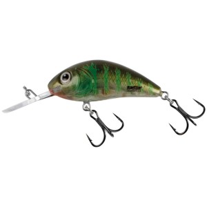 Wobler Salmo- Rattlin Hornet 6,5cm Floating - Green Gill Clear