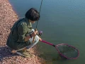 favorite Line_Arena_4.webp