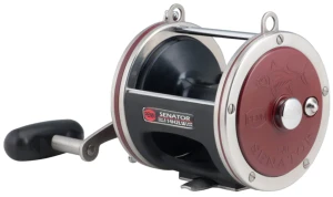 Multiplikator PENN SPECIAL SENATOR 114H2LW 6/0