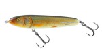SALMO SWEEPER 14SRR REAL ROACH 