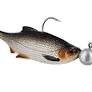 PRZYNĘTY WESTIN RICKY THE ROACH R 'N R WATER MIX