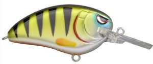 Spro Little John MD - Plug - Green Perch 