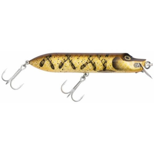 eelpout80mm.jpg