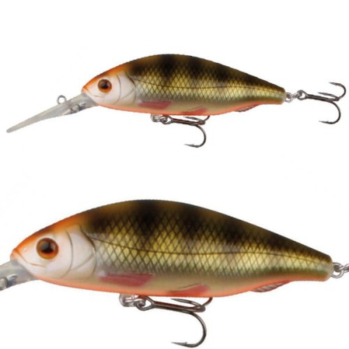 perch8.5.jpg