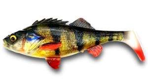 Savage Gear 4D Perch Shad Bulk 17,5cm 68g Perch