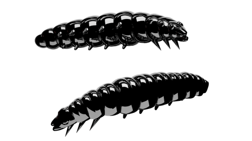 Larva-040-BLACK.png