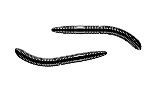 Fatty-DWorm-040-BLACK.png