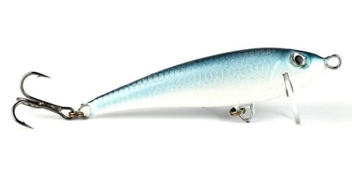 siga12.jpg