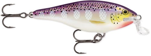 RAPALA-Shallow-Shad-Rap-JSSR09-PD.jpg