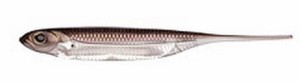 Przynęta gumowa Fish Arrow Flash‐J 1" WAKASAGI/SILVER #07 1SZT