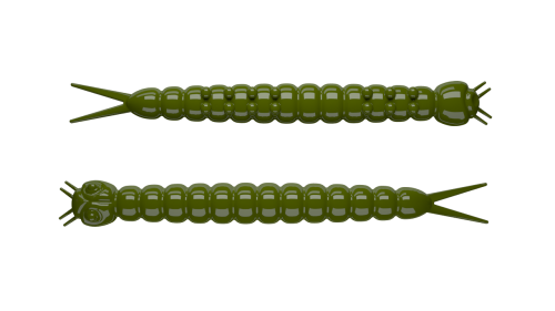 Slight-Worm-031-OLIVE.png