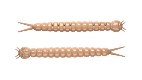 Slight-Worm-035-PELLETS.png