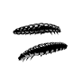 Przynęta gumowa Libra Lures Larva 45mm kolor 040 Czosnek
