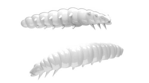 Larva-001-WHITE.png