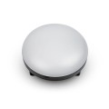 14.webp