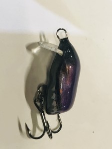 Wobler Dorado Beetle 3cm Floating  PBT