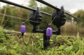 SWINGER Fox Black Label Dumpy Bobbin Red CBI097
