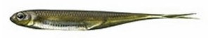 Przynęta gumowa Fish Arrow Flash-J Split 4" Kosan AYU/Silver #06