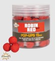 robin pop up jpg.jpg