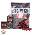 robin red jpg 0.jpg