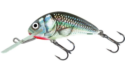 Wobler Salmo 6cm/14g-Grey Shiner/Sinking