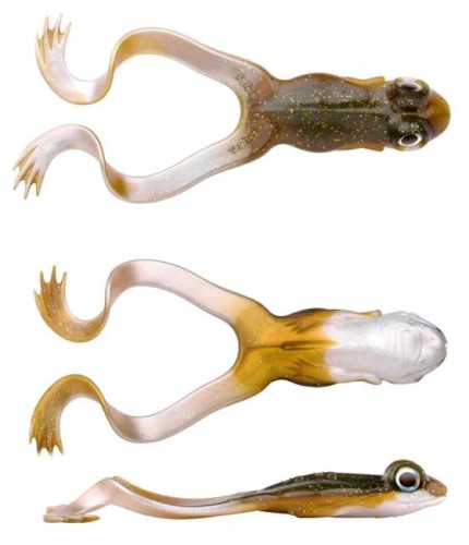 SPRO-Guma-Iris-The-Frog-12cm-20g-Brown-Frog.jpg