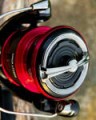 abk_ps_KOLOWROTEK-DAIWA-NINJA-23-FEEDER-LT-6000SS-33614_4.jpg