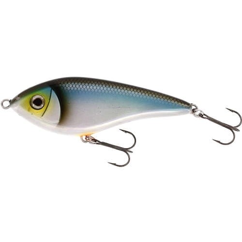 Swim-Glidebait--Blueback-Herring.jpg