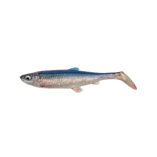 SG-3D-Herring-shad-Herring.jpg