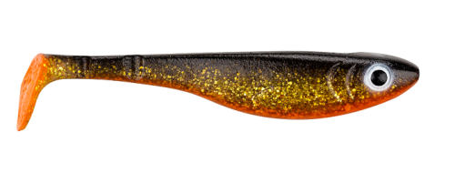 Golden-Shiner.jpg
