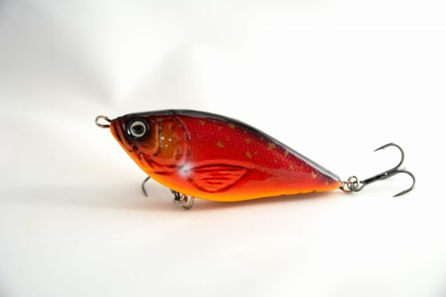 DSC_1912.jpg
