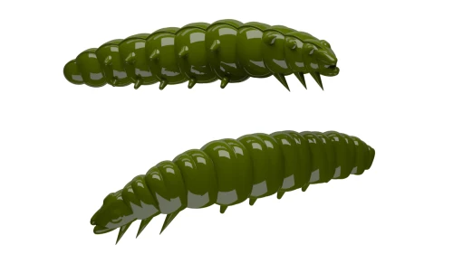 Larva-031-OLIVE.webp