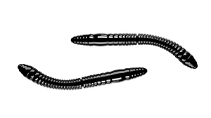 Przynęta gumowa Libra Lures Fatty D’Worm Tournament 5.5cm - 040 /BLACK (bez zapachu)
