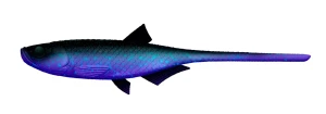 Przynęta gumowa Libra Lures BLEAK SLUG TAIL 8.2'' 21cm - 123 / COSMOS