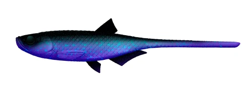 Libra-Lures-Vertical-Pelagic-Series-BLEAK-SLUG-TAIL-123-COSMOS-CEL-INFORMACYJNY.webp