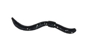 Przynęta gumowa SPRO Trout Master Dendrobena 6cm- Black 15szt. 