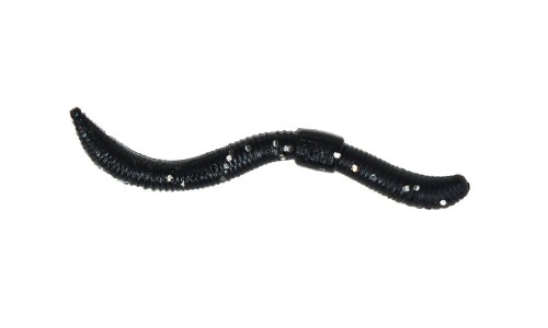 Dendrobaena_Black.jpg