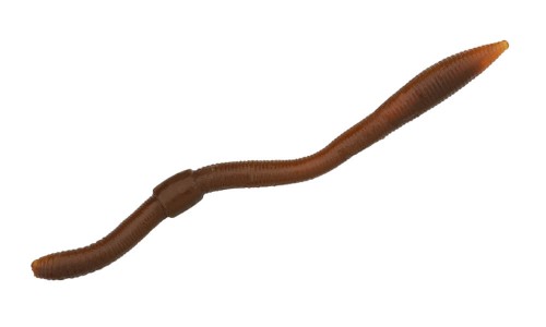 Colours_Twitch_Worm_Natural-Brown.jpg