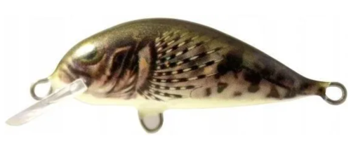 scout cg.png