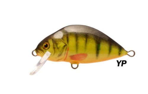 lake yp.jpg