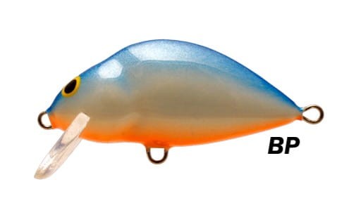 lake bp.jpg