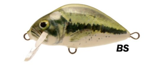 lake bs.jpg