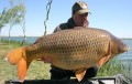 KULKI Dynamite Baits BIG FISH Robin Red 20mm 1kg DY046