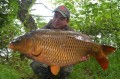 KULKI Dynamite Baits BIG FISH Robin Red 20mm 1kg DY046
