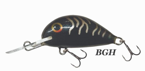 alaska bgh.jpg